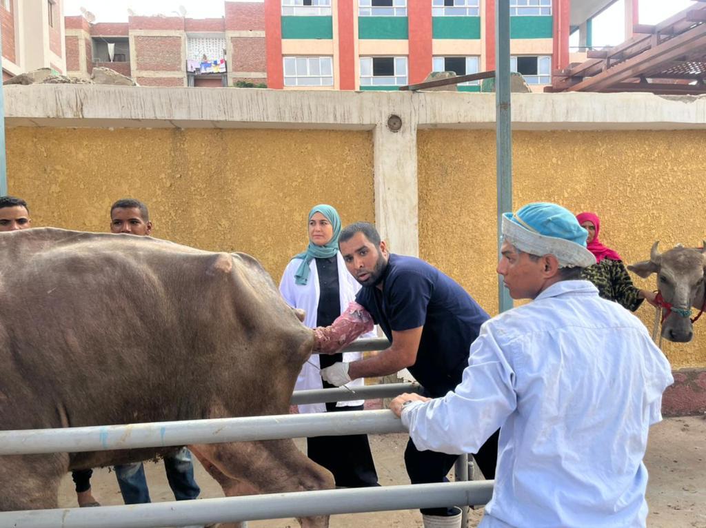 معهد صحة الحيوان ينظم قافلة بيطرية في بنها 3