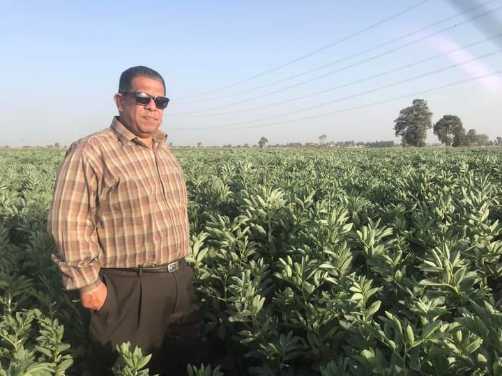 الدكتور علاء عزمي في زراعات الفول البلدي