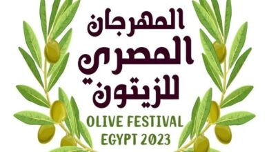 المهرجان المصري للزيتون