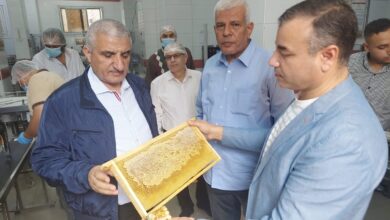 مدير اكساد ونقيب الزراعيين خلال تفقد مشروع لإنتاج عسل النحل في أحد قري محافظة الغربية