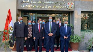 وزير الزراعة في مشروع مكافحة العفن البني في البطاطس