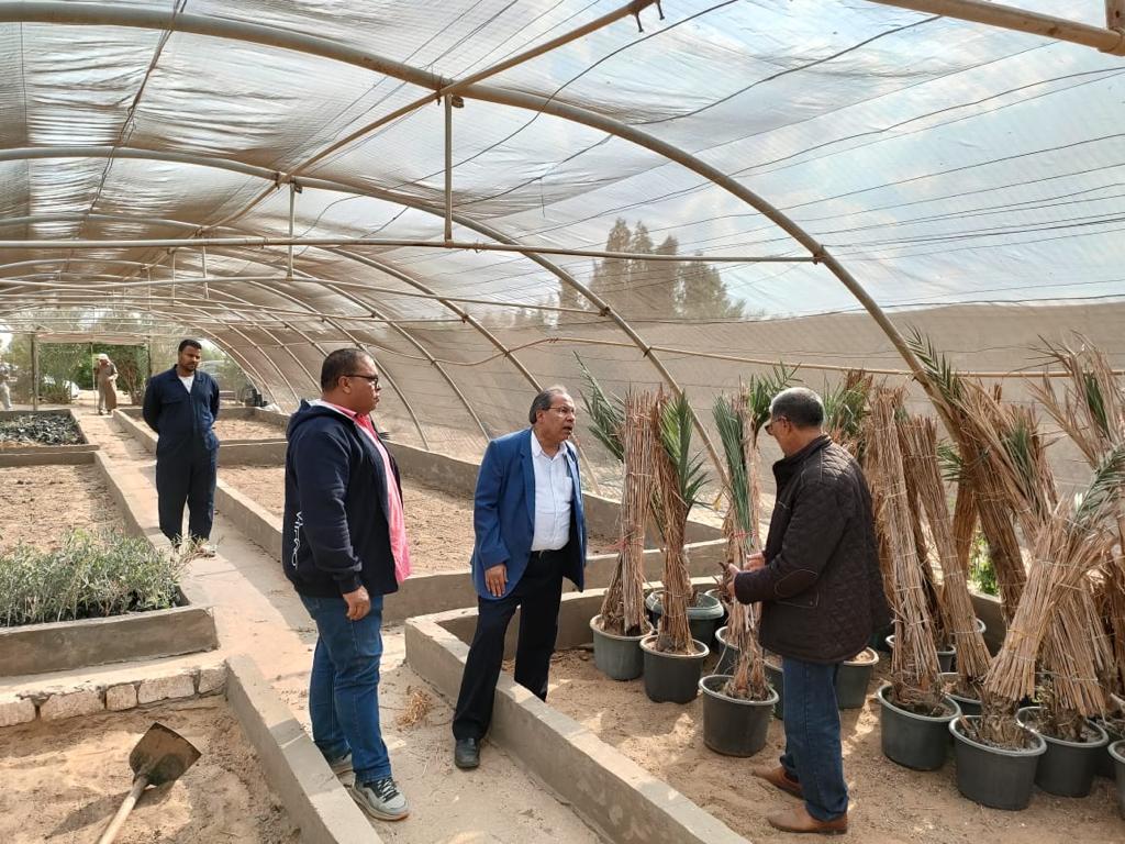 رئيس مركز بحوث الصحراء يتفقد الزراعات في شمال سيناء 1