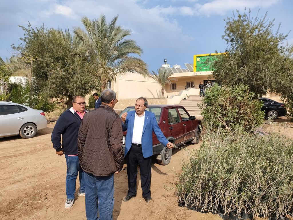 رئيس مركز بحوث الصحراء يتفقد الزراعات في شمال سيناء 4