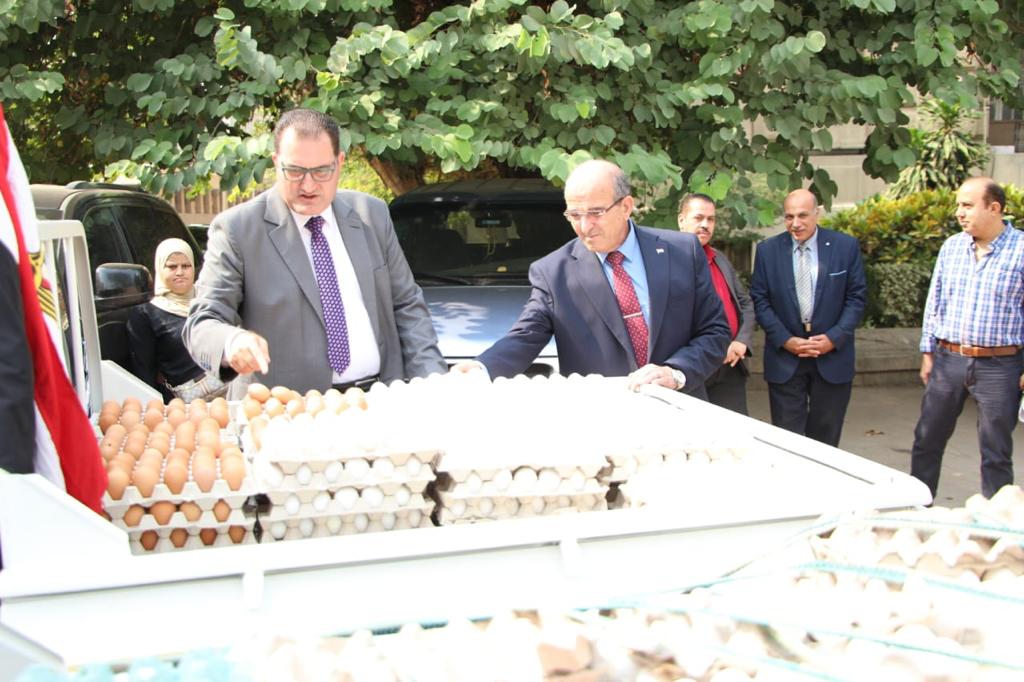 مستشار وزير الزراعة يتفقد مشروع توزيع بيض المائدة