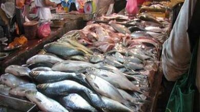 أسعار الأسماك اليوم للمستهلك