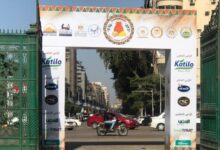 10 معلومات عن مهرجان الجبنة المصري 2023