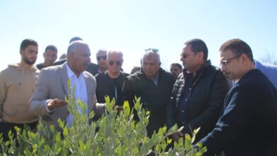 هشام الحصري رئيس لجنة الزراعة والري خلال زيارته لمشروع زراعة الجوجوبا 2