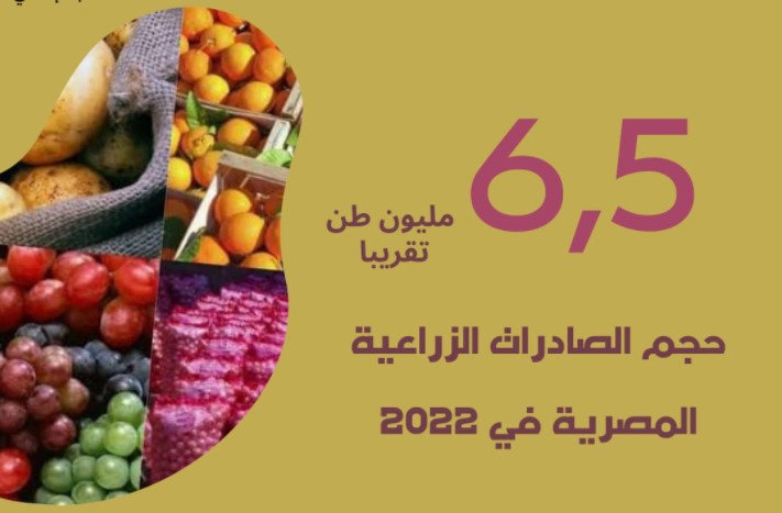 حجم الصادرات الزراعية المصرية