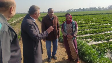 د أحمد رزق رئيس الإدارة المركزية لمكافحة الآفات يتفقد حالة المحاصيل بالمحافظات