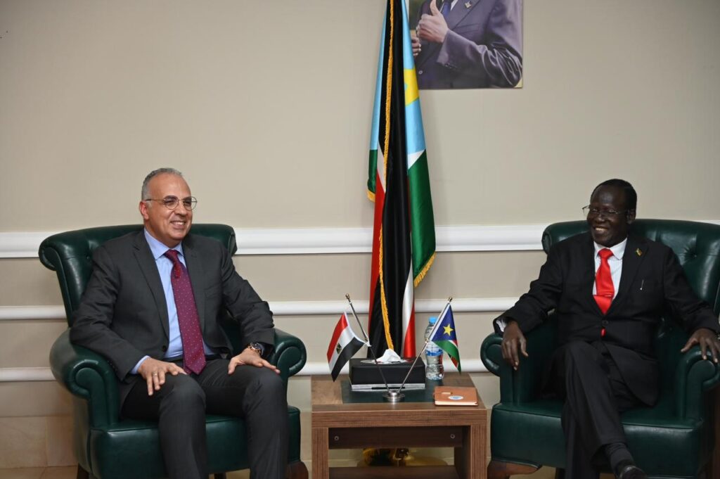 الري يلتقي نائب رئيس جمهورية جنوب السودان 2 scaled