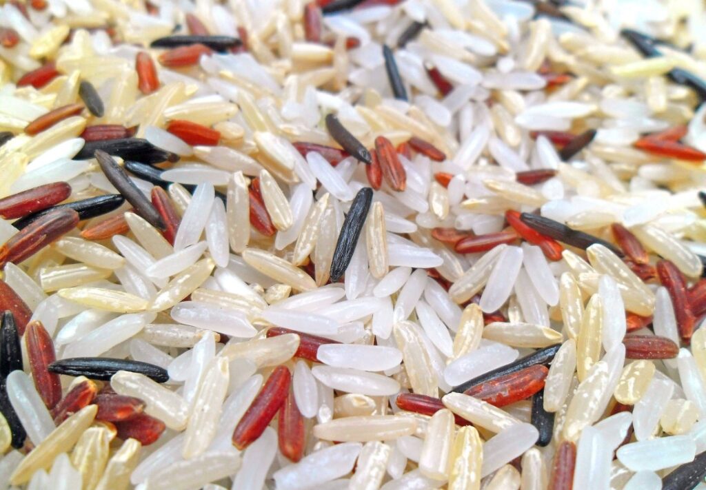 الأرز scaled