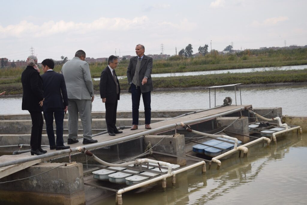 السفير الياباني يتفقد مشروعات المركز الدولي للأسماك في العباسة 9 scaled