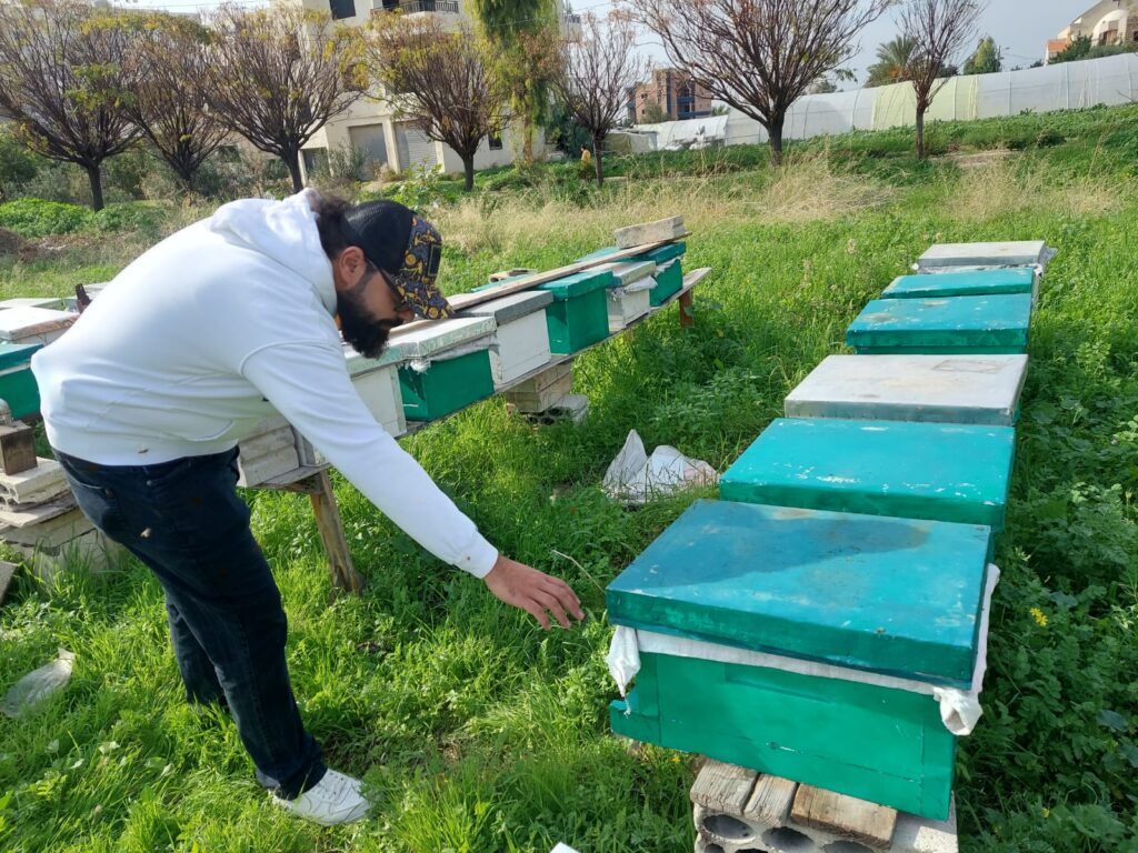 خلايا النحل في لبنان scaled
