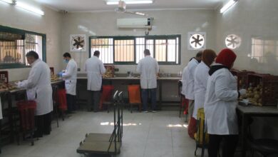 مشروع مكافحة العفن البني في البطاطس