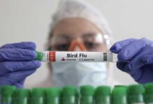 في هذه الصورة التوضيحية ، 14 يناير 2023 شخص يحمل أنبوب اختبار مكتوب عليه "انفلونزا الطيور". رويترز / دادو روفيتش