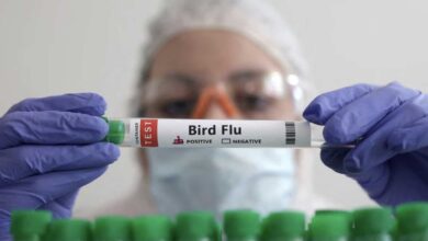 في هذه الصورة التوضيحية ، 14 يناير 2023 شخص يحمل أنبوب اختبار مكتوب عليه "انفلونزا الطيور". رويترز / دادو روفيتش