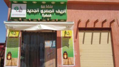 شركة الريف المصري توفر منافذ جديدة للسلع الغذائية 1