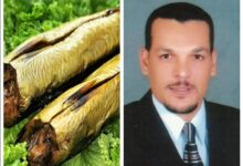 دكتور عاطف عشيبة وكيل معهد تكنولوجيا الأغذية