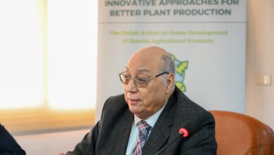 الدكتور محمد عبدالمجيد رئيس لجنة المبيدات