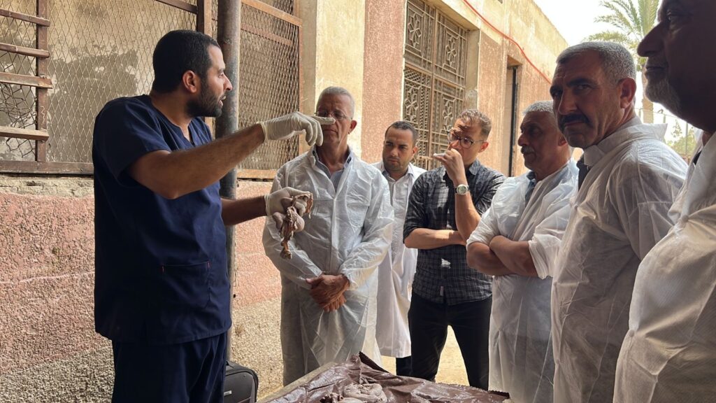 تدريب البيطريين المصريين والعرب في معهد التناسليات الحيوانية 1 scaled