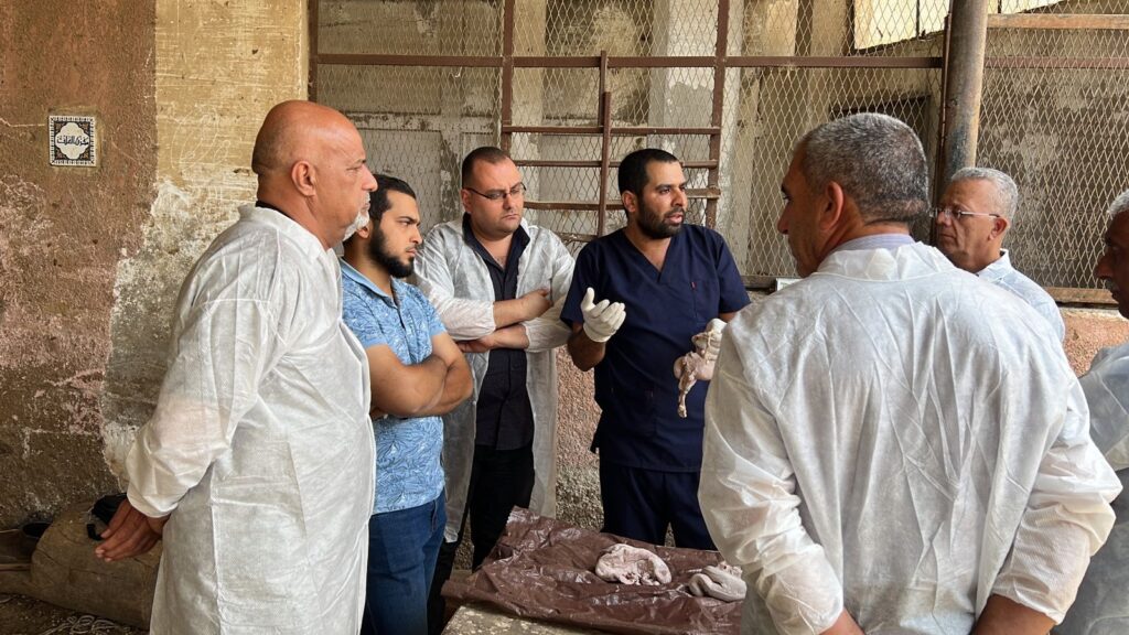 تدريب البيطريين المصريين والعرب في معهد التناسليات الحيوانية 2 scaled