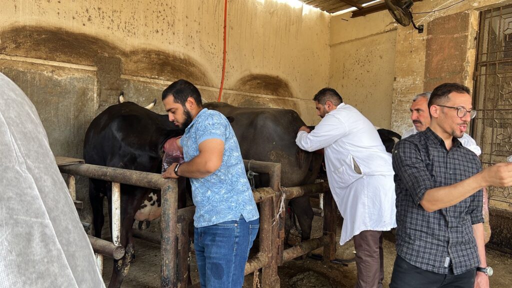تدريب البيطريين المصريين والعرب في معهد التناسليات الحيوانية 3 scaled