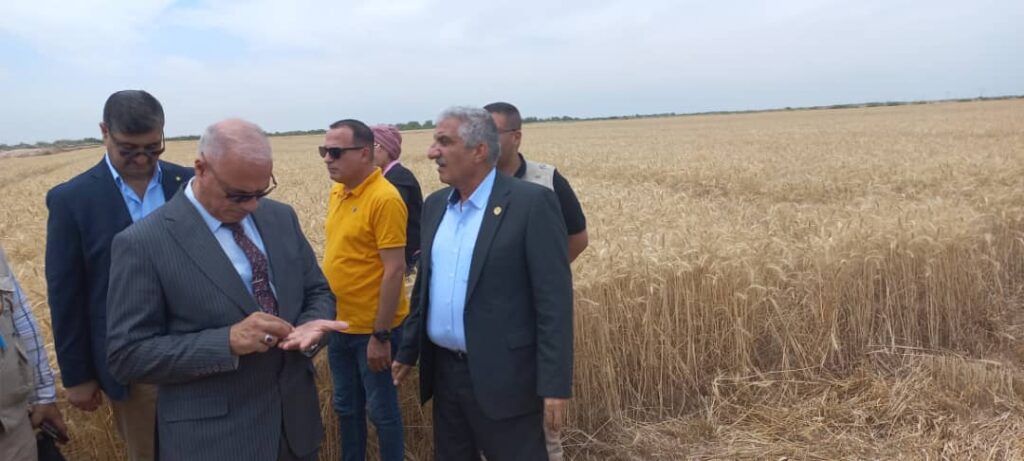 مدير اكساد يتفقد زراعات القمح في العراق 2 scaled