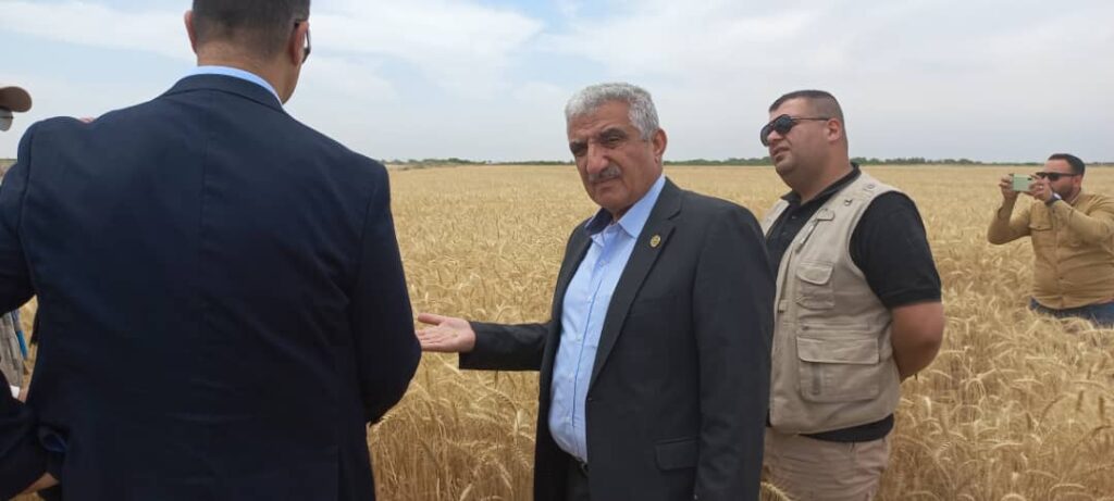 مدير اكساد يتفقد زراعات القمح في العراق 3 scaled