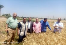 وفد زراعي يتفقد زراعات القمح في سوهاج