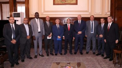 جانب من لقاء وزيرا الزراعة في مصر وموريتانيا لبحث سبل تعزيز التعاون الزراعي المشترك بين البلدين الشقيقين