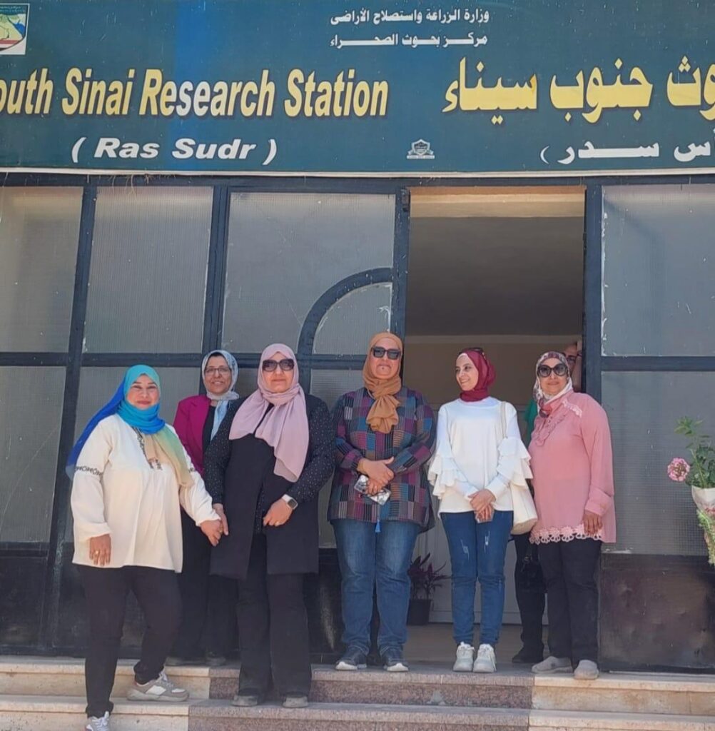 مشروع تنمية المرأة البدوية في سيناء scaled
