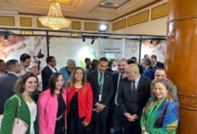 معرض الأعمال الخضراء في الأقصر 2