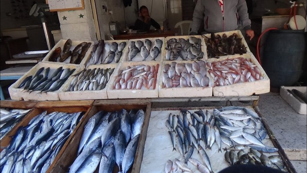 حلقة الأسماك في سوريا scaled