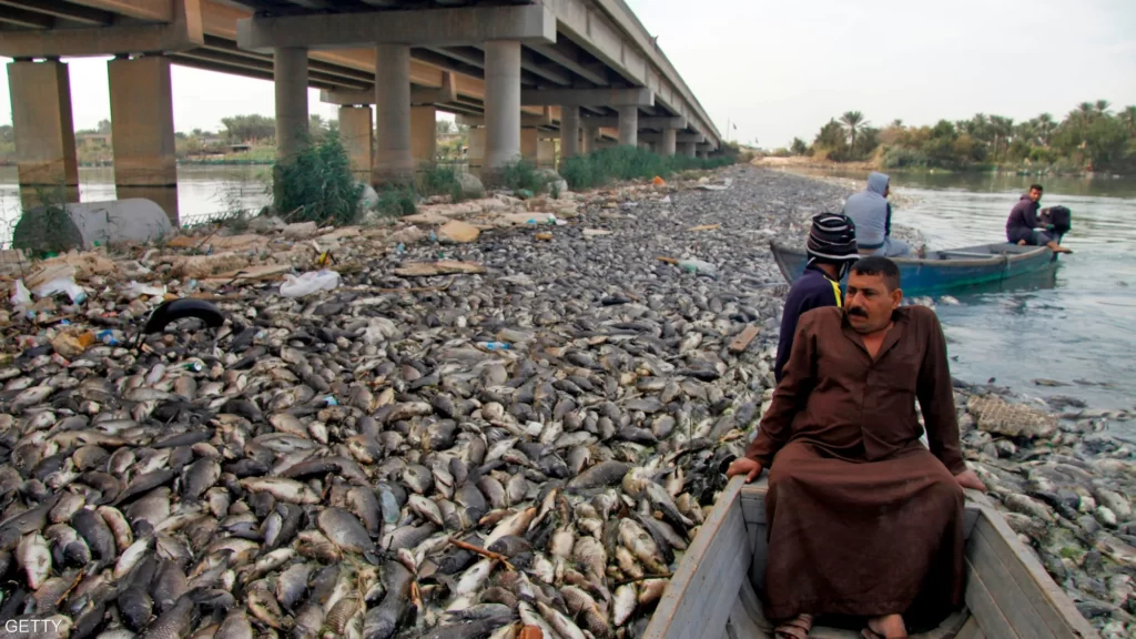 صورة أرشيفية لنفوق أطنان من الأسماك في نهر الفرات الذي يعاني من شح المياه