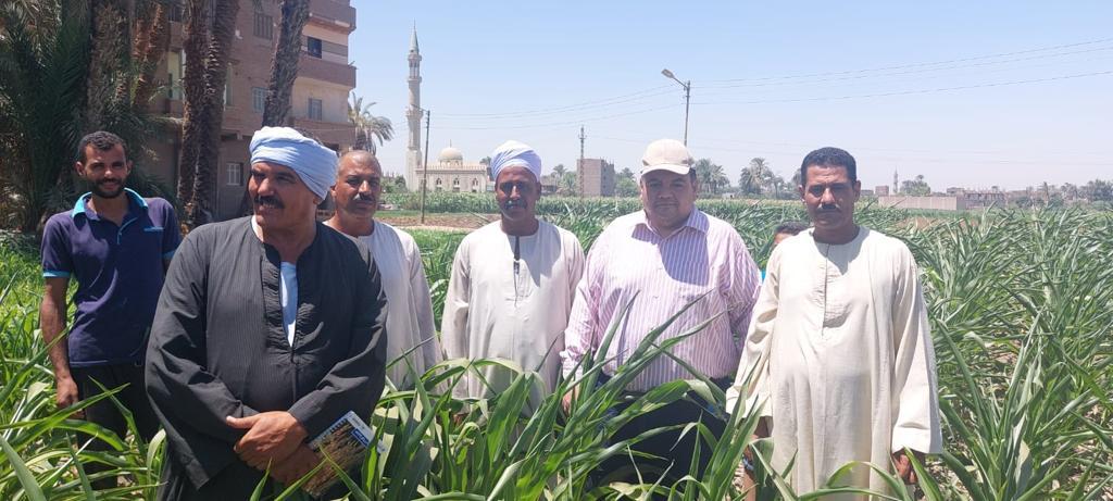 متابعة دودة الحشد الخريفية