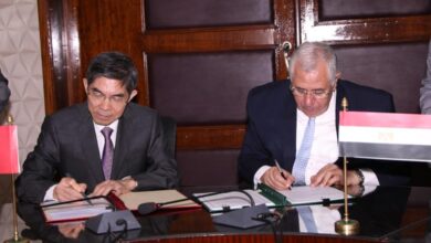 توقيع اتفاقية مع بين مصر والصين لتصدير المانجو