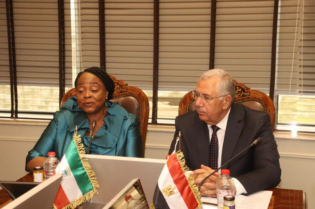 جانب من لقاء وزير الزراعة المصري برئيسة مجلس الشيوخ بدولة غينيا الاستوائية