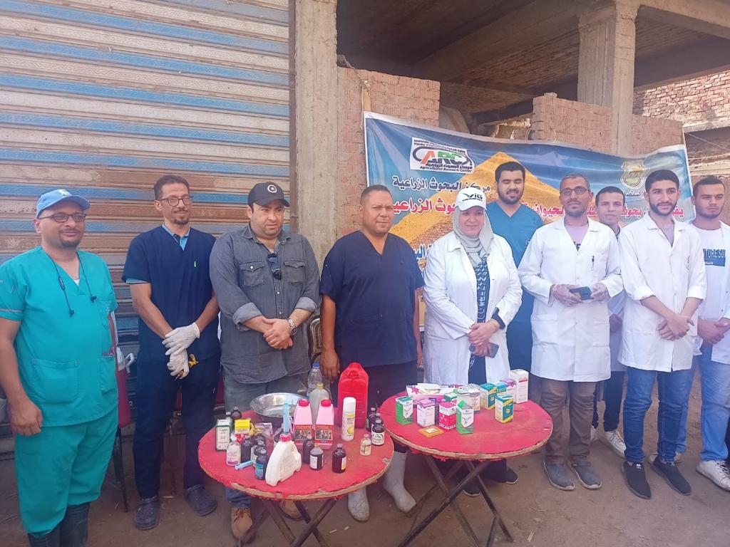 وزارة الزراعة تنظم قوافل بيطرية في دمياط