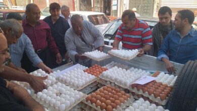 أسعار البيض في منافذ وزارة الزراعة