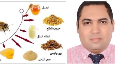 الدكتور احمد الصباغ والتداوي بمنتجات النحل