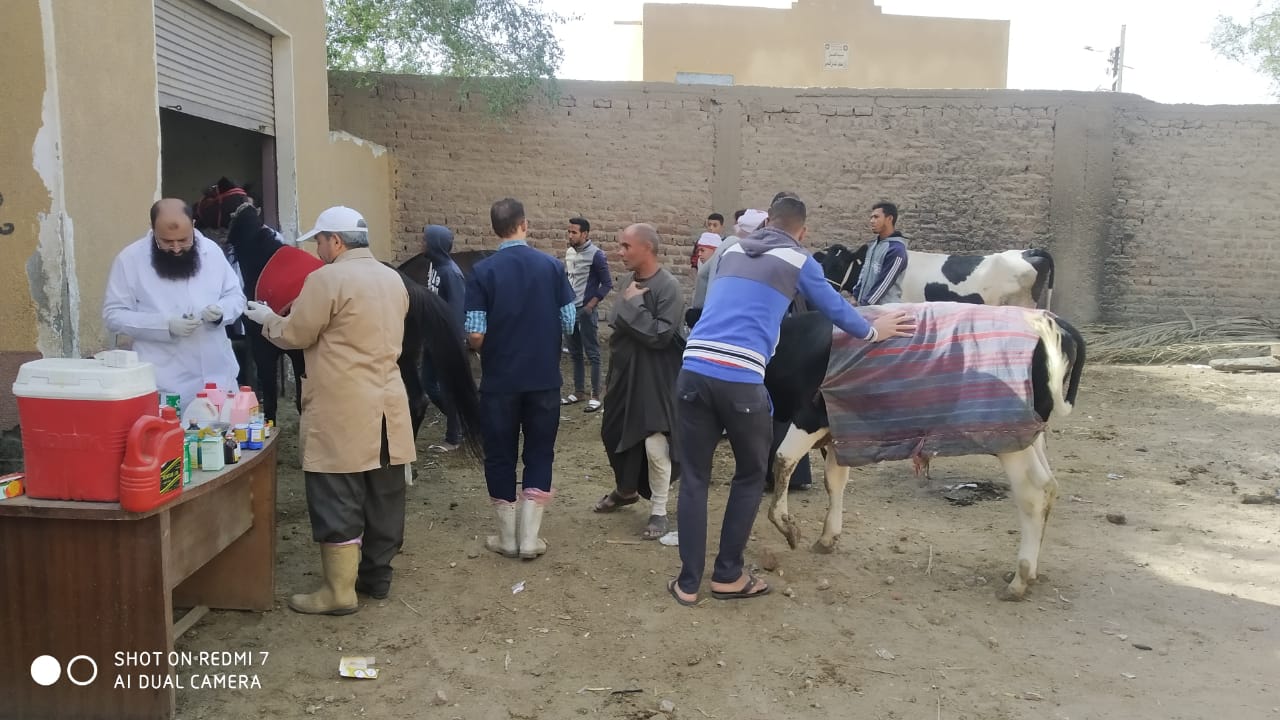 قوافل بيطرية في محافظة سوهاج