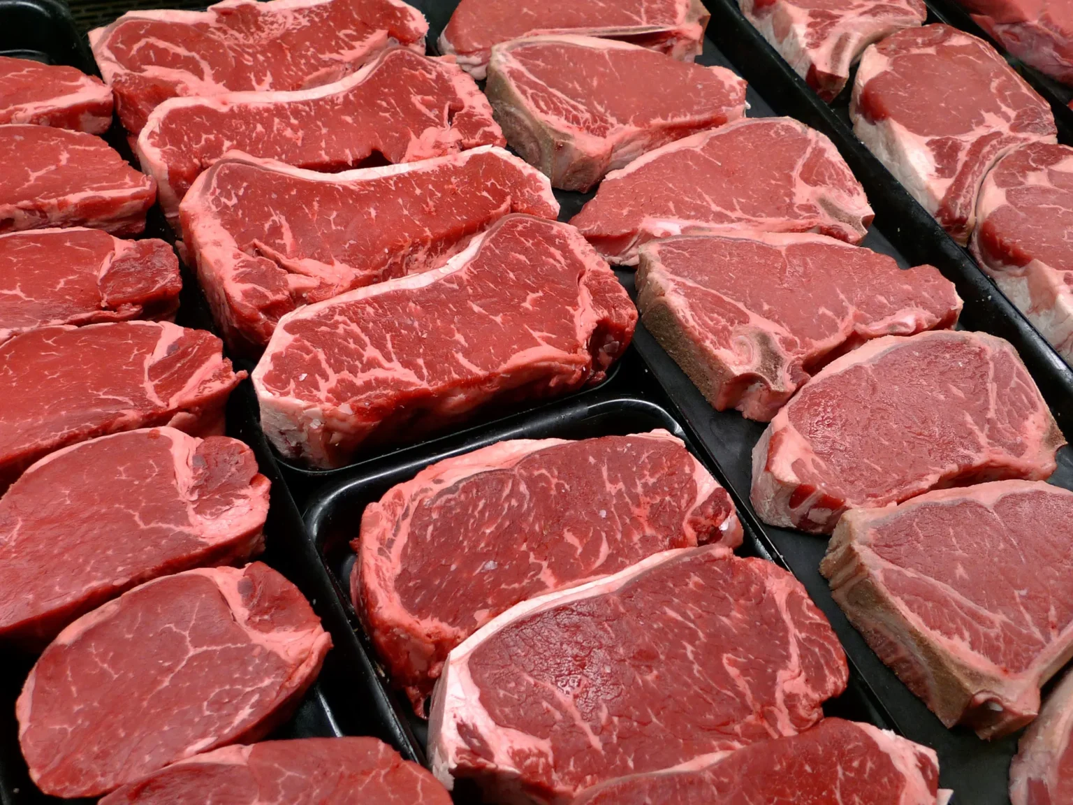 أسعار اللحوم الحمراء اليوم 