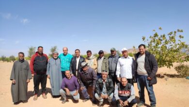 مشروعات مركز بحوث الصحراء في المناطق الحدودية في توشكي
