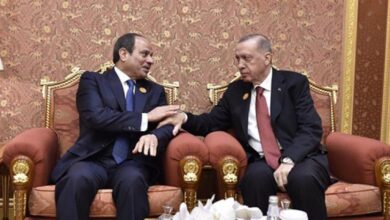 الرئيس السيسي والرئيس اردوغان