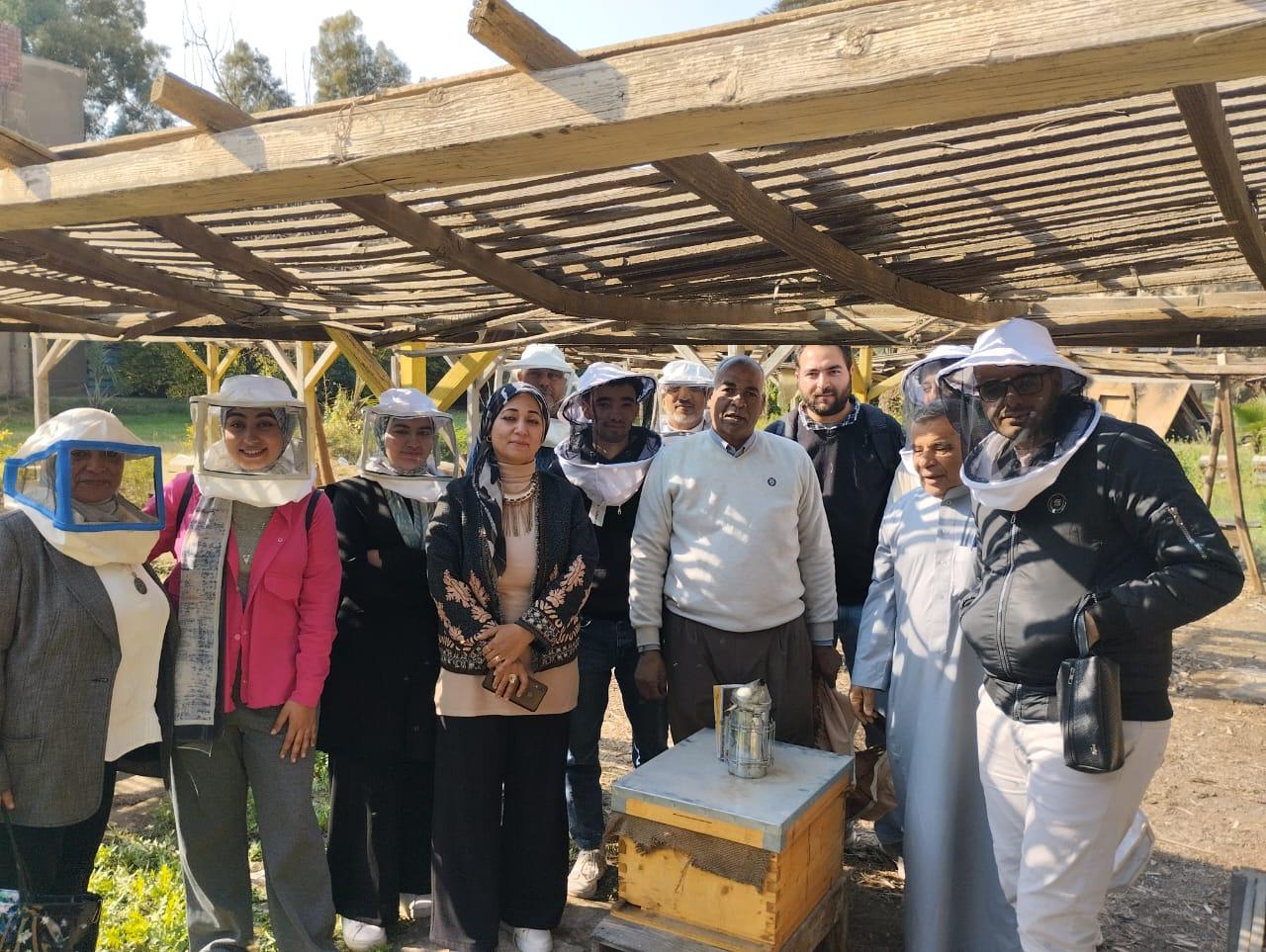 وقاية النباتات: برامج تدريبية تهدف إلى تعزيز إنشاء المناحل وتربية نحل العسل في محافظات مصر.