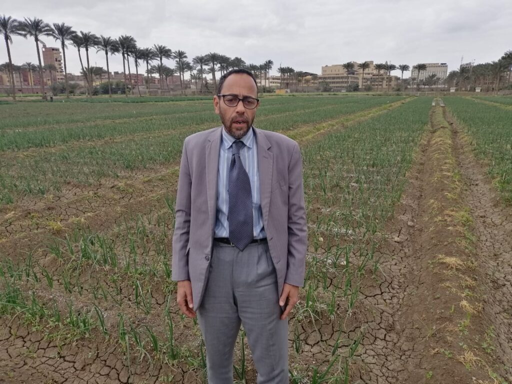 د عبدالمجيد مبروك رئيس قسم بحوث البصل