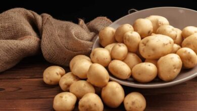 أسعار البطاطس اليوم في سوق العبور 9 مايو 2024