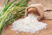 سعر طن الأرز الشعير اليوم 2024